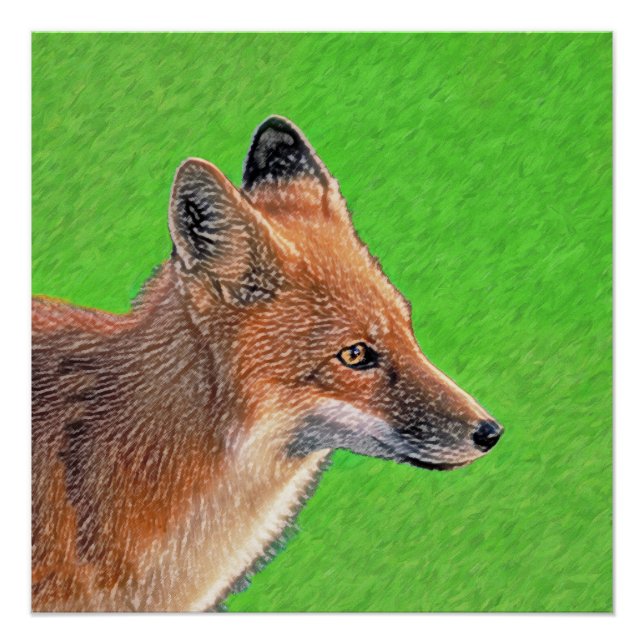 Poster Peinture Red Fox - Art original de la faune (Devant)