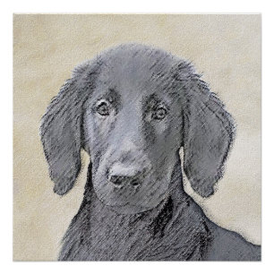 Poster Peinture Retriever à revêtement plat - Art Chien o