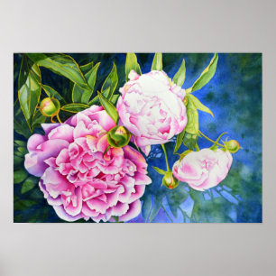 Poster Peinture rose blanc   romantique floral