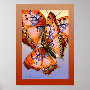 Poster Peinture rouge d'abrégé sur bleu de papillons