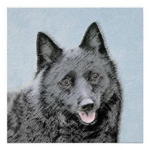 Poster Peinture Schipperke - Cute Original Chien Art