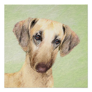 Poster Peinture Sloughis - Joli art original pour chien