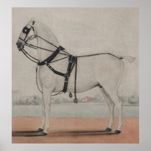 Poster Peinture vintage de cheval de transport (1845)