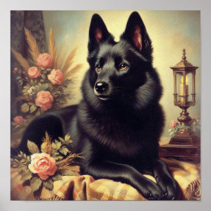 Poster Peinture vintage de Chien Schipperke