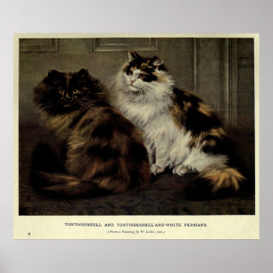 Poster Peinture vintage des chats à la luffée (1902)