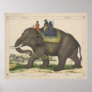Poster Peinture vintage d'hommes chevauchant un éléphant