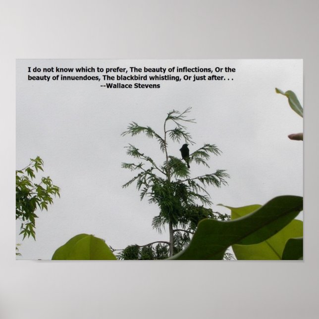 Poster Peinture vocale (Devant)