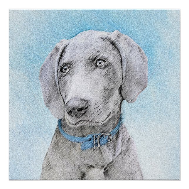 Poster Peinture Weimaraner - Joli art original chien (Devant)