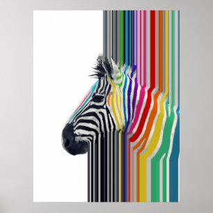 Poster Peinture Zèbre Colorée Grandes Vibrantes