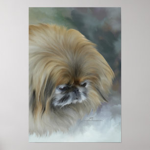 Poster Pekingese pensif
