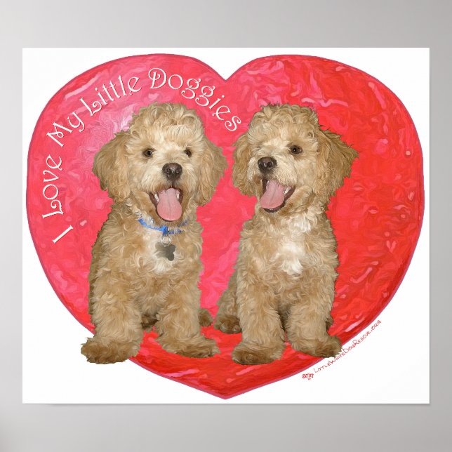 Poster Pékinois / mélange de Caniche Saint-Valentin (Devant)