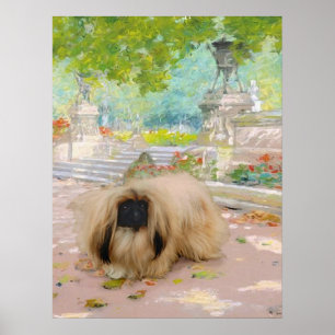 Poster Pékinois miel dans un cadre floral
