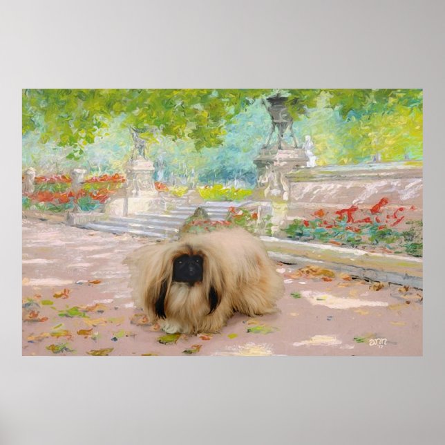Poster Pékinois miel dans un cadre floral (Devant)