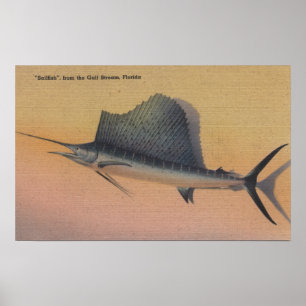 Poster Pélerin de Gulf Stream, FloridaFlorida