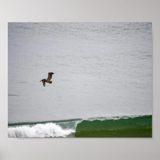 Poster Pélican au-dessus de la vague