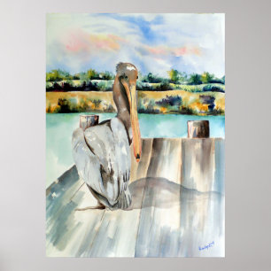 Poster Pélican avec une attitude