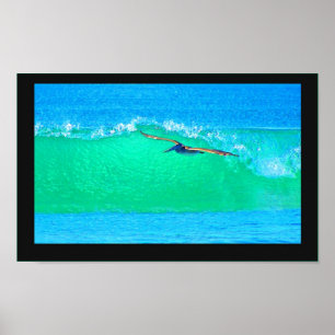 Poster Pelican Birds Wildlife Animals