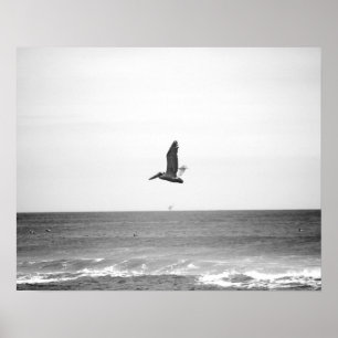 Poster Pélican Brown noir et blanc survolant l'océan