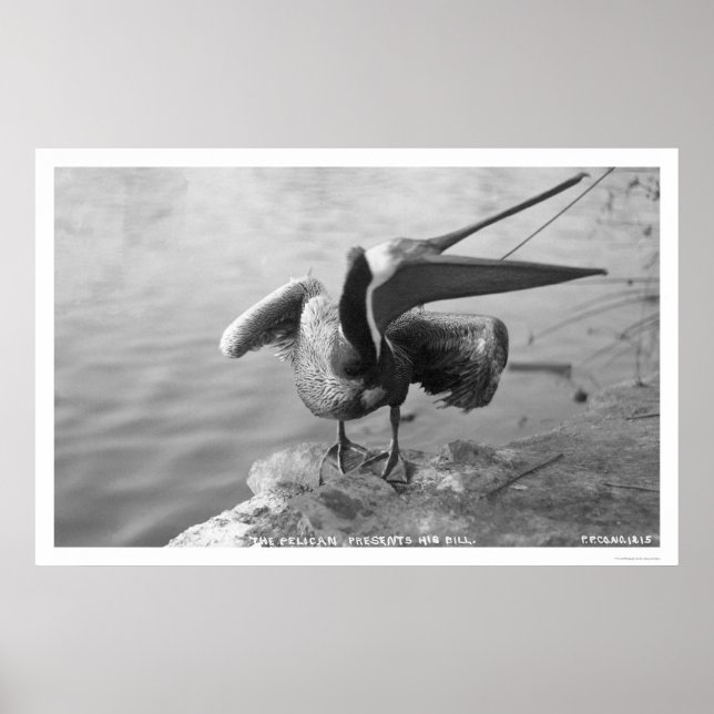 Poster Pélican montrant l'Alaska 1918 (Devant)