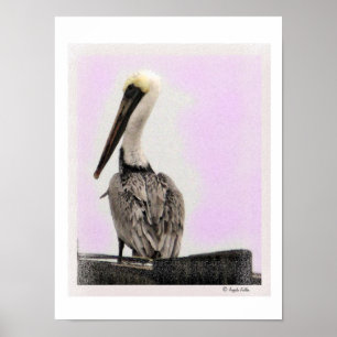 Poster Pélican - Tinté / Black Frame Print