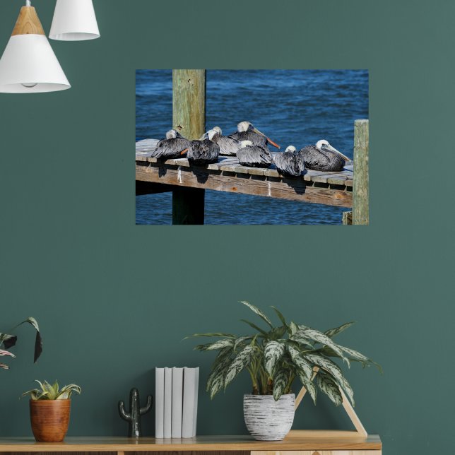 Poster Pélicans reposant sur une jetée (Salon 1)