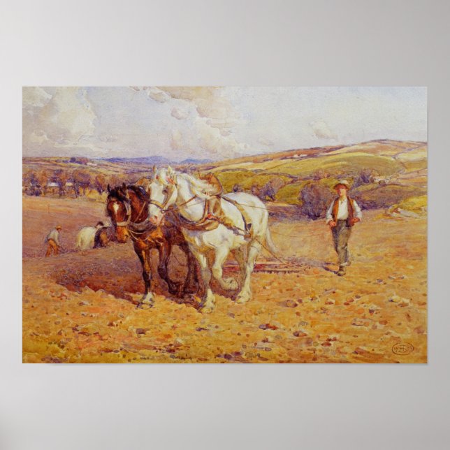 Poster Pellage (Devant)