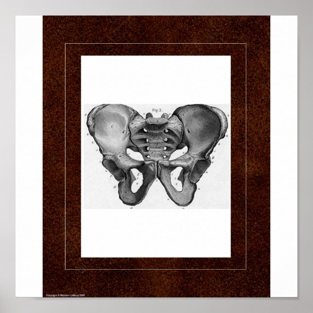 Poster Pelvis Spirit House (Devant)
