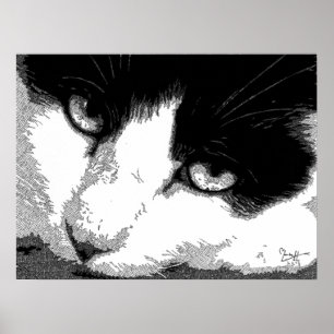 Poster Pen and Ink Cat