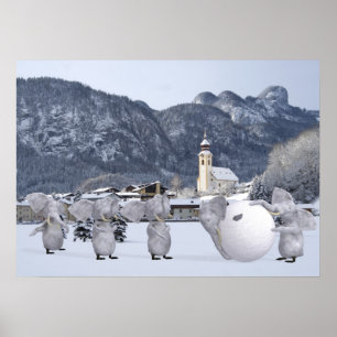 Poster Pengphants doux