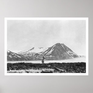 Poster Péninsule Alaska 1912 de Kenai de moutons