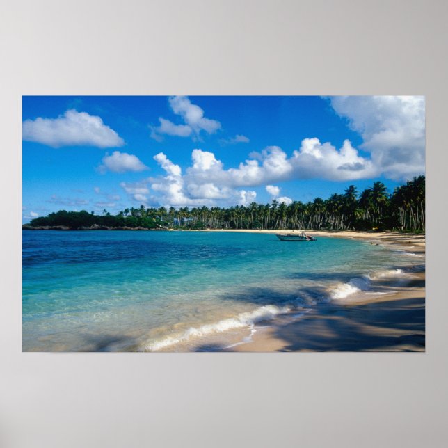 Poster Péninsule de La Samana, République Dominicaine, (Devant)
