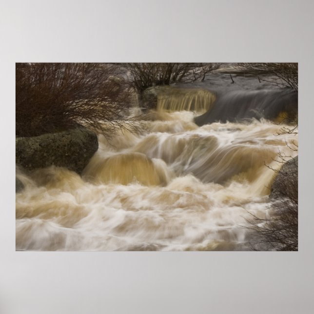 Poster Pennant Brook (Devant)