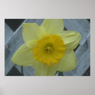 Poster Pensez au printemps !