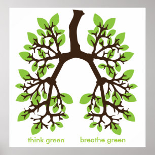 Poster pensez le vert, respirez le vert