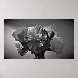 Poster Peonies - Noir,