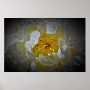 Poster Peony,
