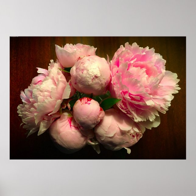 Poster Peony, (Devant)