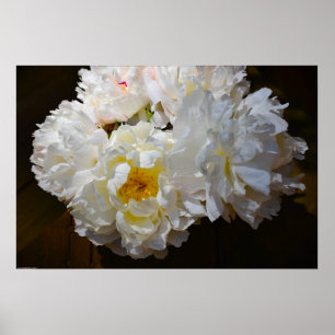 Poster Peony,