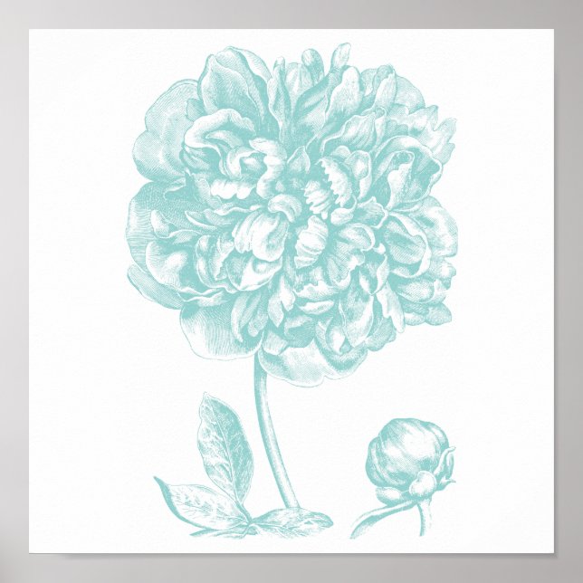 Poster Peony bleu vert (Devant)