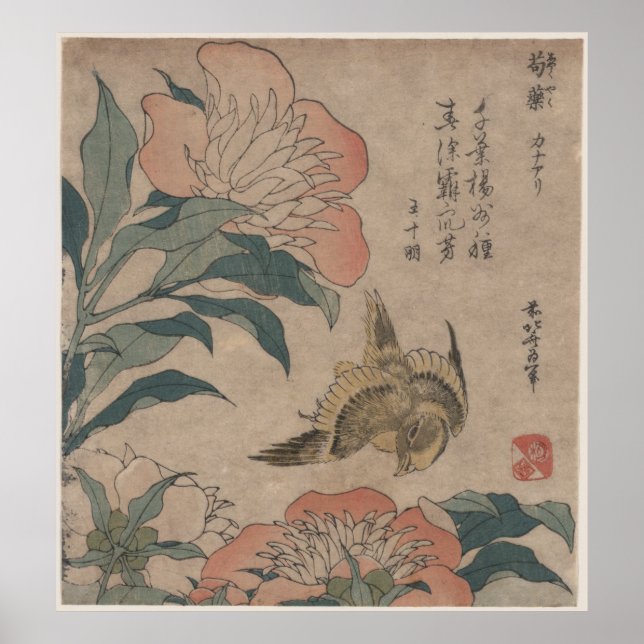 Poster Peony et Canary par Katsushika Hokusai (Devant)