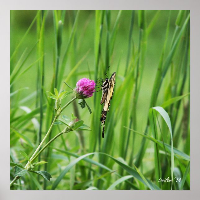 Poster Perche appropriée (Devant)