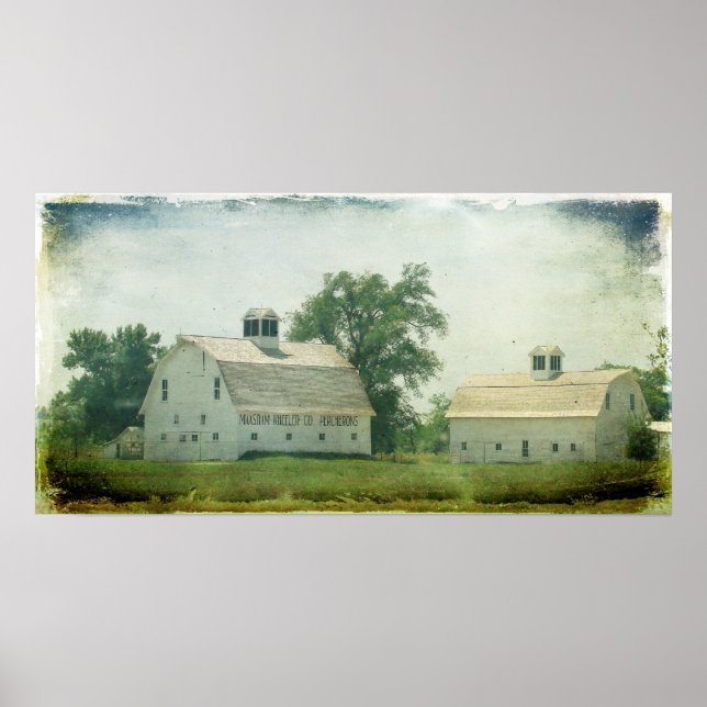 Poster Percheron Barns (Devant)