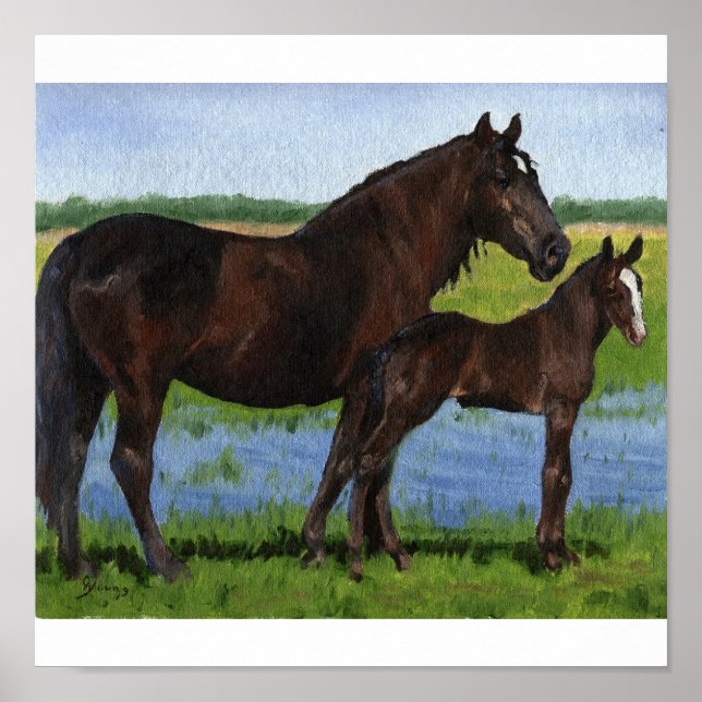 Poster Percheron Mare et portrait de poulain (Devant)
