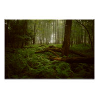 Perdu dans les bois