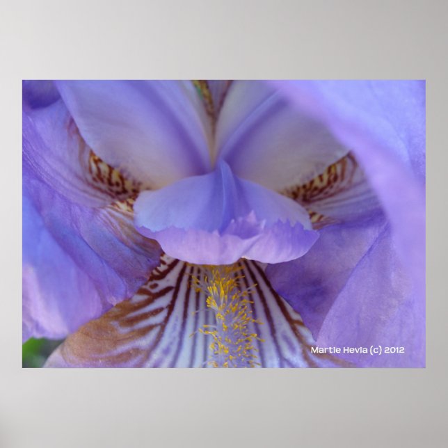 Poster Perdu dans un rêve (Devant)