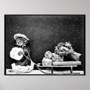 Poster Père Noël Cat livre des cadeaux de Noël