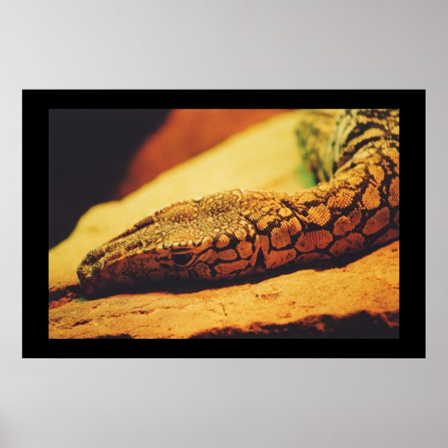 Poster Perentie (Devant)