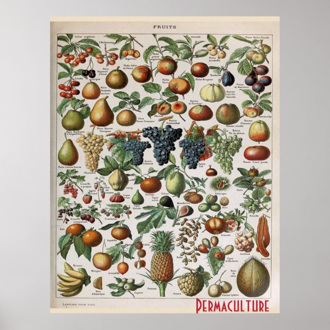 Poster Permaculture Farms Fruits, personnaliser (Devant)