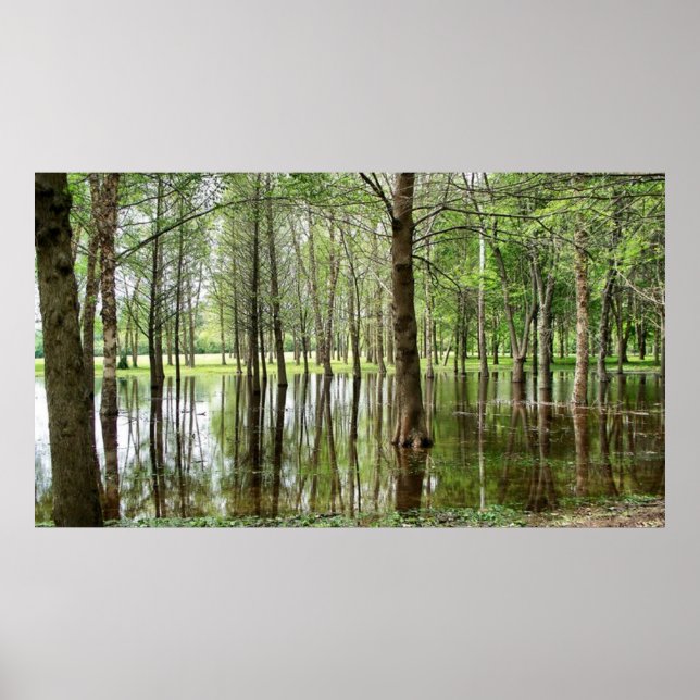 Poster Perrin Park (Devant)