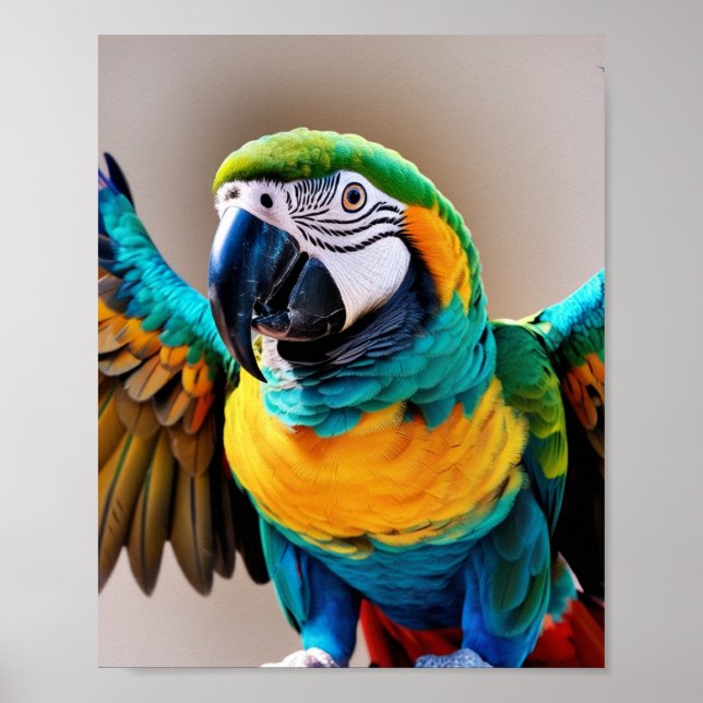 Poster Perroquet (Devant)